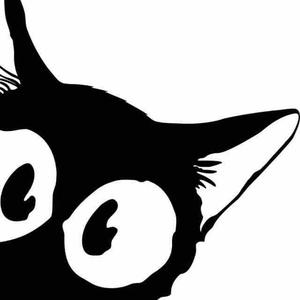 豁达我是猫 头像