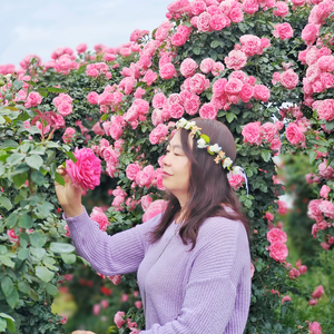 忘忧草的退休生活 头像