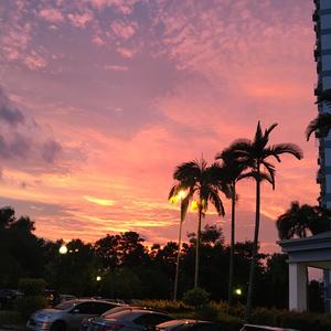 鲨鱼不会哭 头像