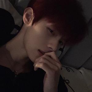 清闲的枫叶 头像