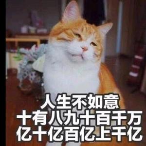 双鱼座的程序猿 头像