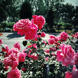 堂堂好物分享 头像