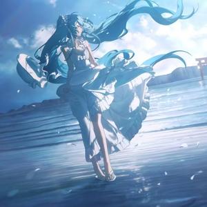 青柠里的小苍兰 头像