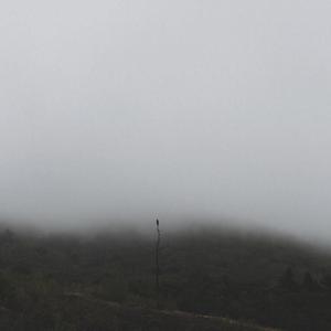 山高路远 头像