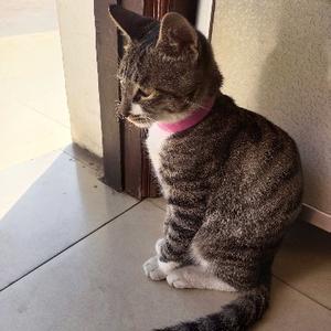 加油啊昆辰 头像