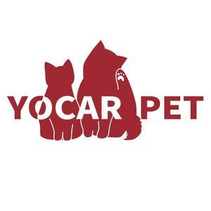 90后宠物医生 头像