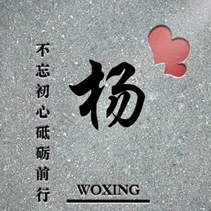 奋勇前进的小杨 头像