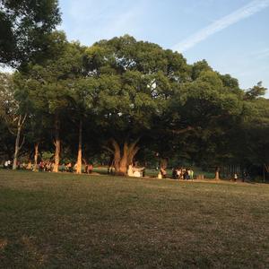 跌跌撞撞一路前行 头像