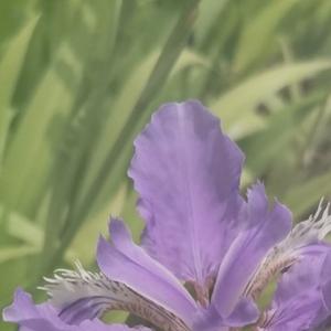 洒脱的自在的愚人 头像