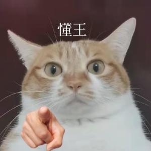 喵呜乌拉 头像