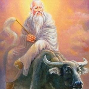 绝圣可弃智 头像