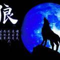 彼岸香醍 头像