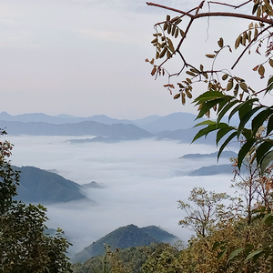 兴安县跃儿百货店 头像