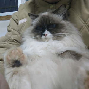 小皙讲故事 头像