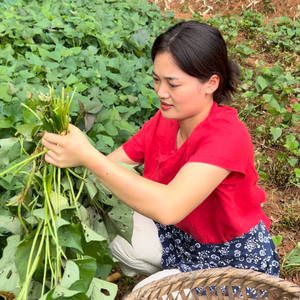 云水妹板鸭头像