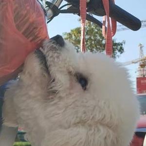 大理的逍遥地主 头像