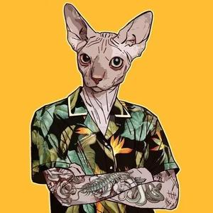 地球小镇与海 头像