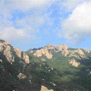 爱读书的洋芋 头像