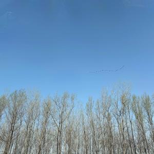 吃葡萄不吐葡萄皮 头像