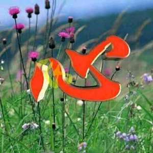 化峒叔老黄 头像