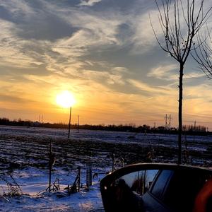 自由枫叶u7 头像