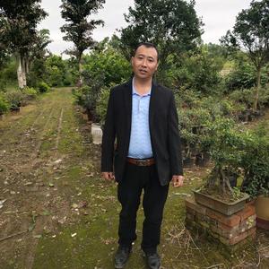 四季园艺金弹子4f1K 头像