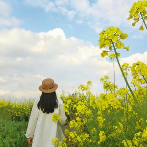 陌嫣趣生活 头像