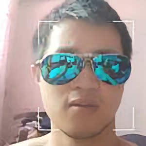 penguin在日本 头像