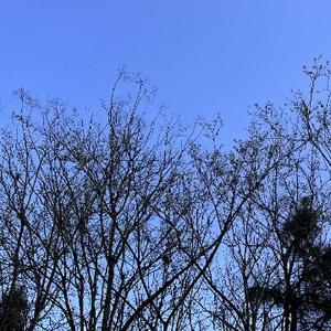 远见卓识轮船OKe 头像