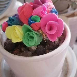 邹哥自媒体1 头像