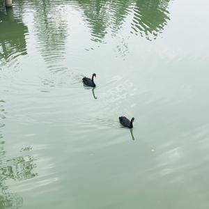 玲玲爱神探 头像