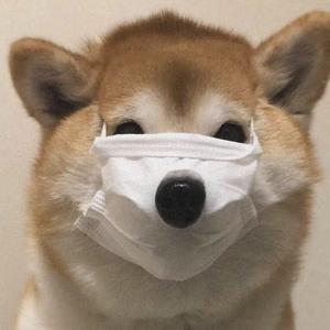 胡小生解说 头像