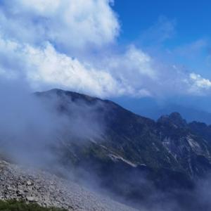 相信自然修复的力量 头像