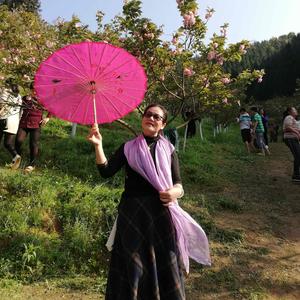 芝藢琰焱看人间 头像