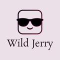 狂野杰瑞WildJerry头像