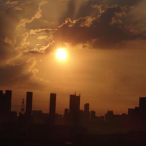 鲁中向日葵 头像