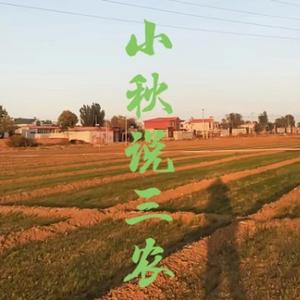 小秋说三农 头像