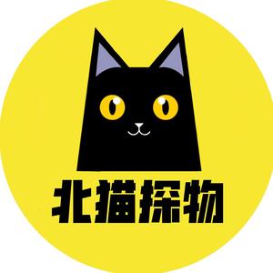 北猫探物头像