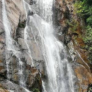 闲来垂钓碧溪上666 头像