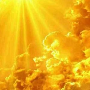 起风了别眯眼 头像