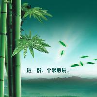 烦恼生菩提 头像