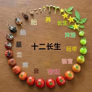 人间烟火 头像