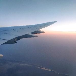 一起凉白开 头像