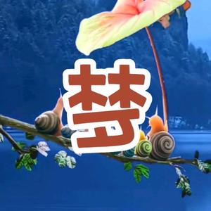 梦婆影视3M8Q 头像