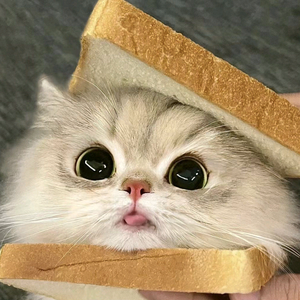 旺仔和娜娜 头像