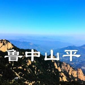 鲁中山平头像