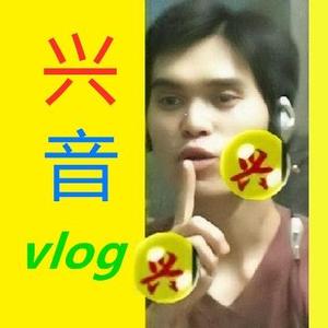 兴音vlog头像