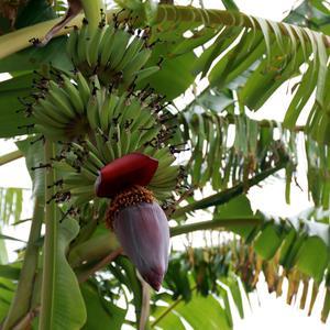 宜彤传闻vlog 头像