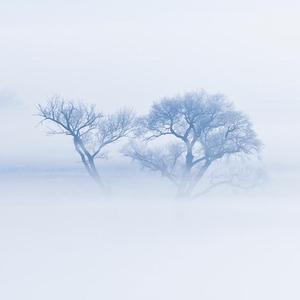 没茶叶的茶 头像