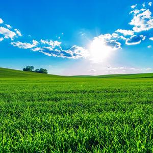 听音乐聊故事品人生 头像